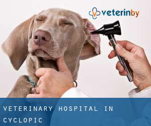 Veterinary Hospital in Cyclopic