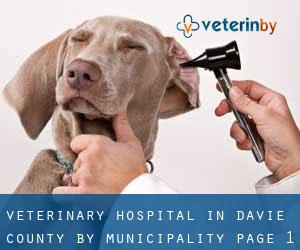 Veterinary Hospital in Davie County by municipality - page 1