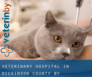 Veterinary Hospital in Dickinson County by municipality - page 1