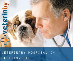 Veterinary Hospital in Ellettsville