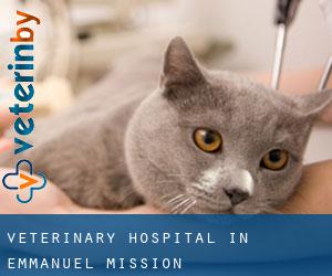 Veterinary Hospital in Emmanuel Mission