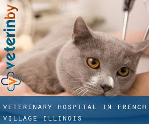 Veterinary Hospital in French Village (Illinois)