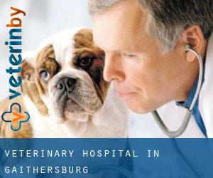 Veterinary Hospital in Gaithersburg