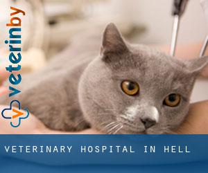 Veterinary Hospital in Hell