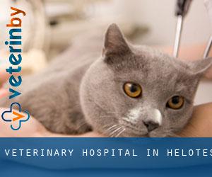 Veterinary Hospital in Helotes