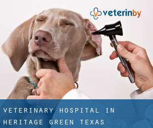 Veterinary Hospital in Heritage Green (Texas)