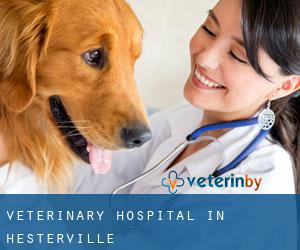 Veterinary Hospital in Hesterville