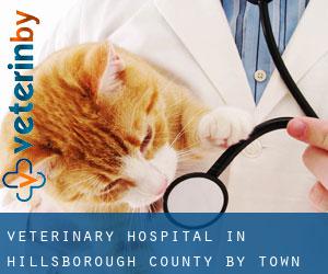 Veterinary Hospital in Hillsborough County by town - page 4
