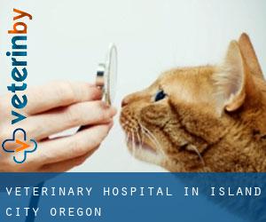 Veterinary Hospital in Island City (Oregon)
