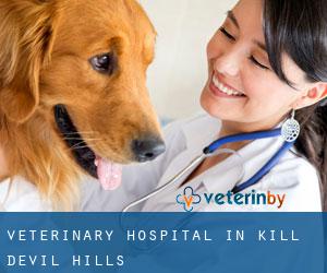 Veterinary Hospital in Kill Devil Hills