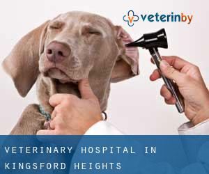 Veterinary Hospital in Kingsford Heights