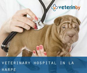Veterinary Hospital in La Harpe