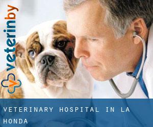 Veterinary Hospital in La Honda
