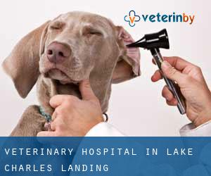 Veterinary Hospital in Lake Charles Landing
