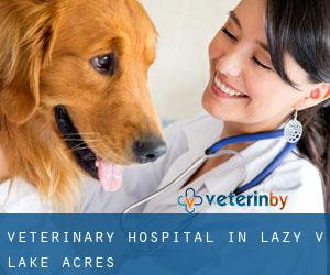 Veterinary Hospital in Lazy V Lake Acres