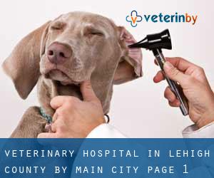 Veterinary Hospital in Lehigh County by main city - page 1