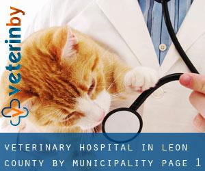 Veterinary Hospital in Leon County by municipality - page 1