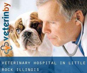 Veterinary Hospital in Little Rock (Illinois)
