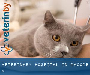 Veterinary Hospital in Macomb-Y