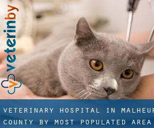 Veterinary Hospital in Malheur County by most populated area - page 1