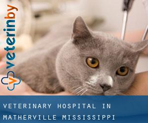Veterinary Hospital in Matherville (Mississippi)