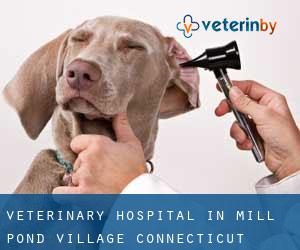 Veterinary Hospital in Mill Pond Village (Connecticut)