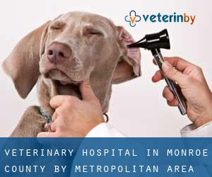 Veterinary Hospital in Monroe County by metropolitan area - page 1