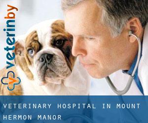 Veterinary Hospital in Mount Hermon Manor