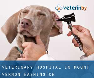 Veterinary Hospital in Mount Vernon (Washington)