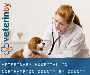 Veterinary Hospital in Northampton County by county seat - page 2
