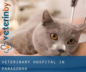 Veterinary Hospital in Paragonah