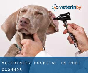 Veterinary Hospital in Port O'Connor