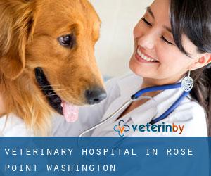 Veterinary Hospital in Rose Point (Washington)