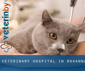Veterinary Hospital in Roxanna
