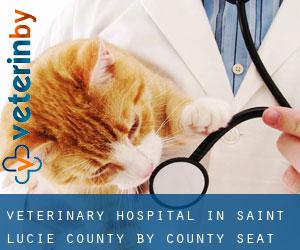 Veterinary Hospital in Saint Lucie County by county seat - page 1