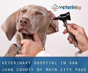 Veterinary Hospital in San Juan County by main city - page 1