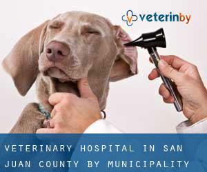 Veterinary Hospital in San Juan County by municipality - page 1