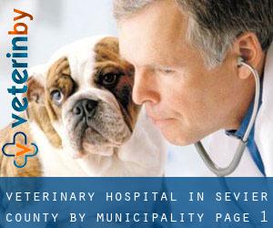 Veterinary Hospital in Sevier County by municipality - page 1