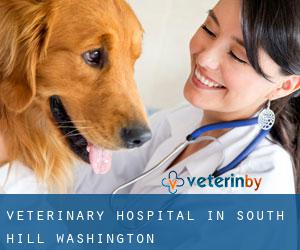 Veterinary Hospital in South Hill (Washington)