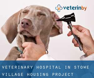 Veterinary Hospital in Stowe Village Housing Project