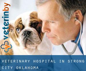 Veterinary Hospital in Strong City (Oklahoma)
