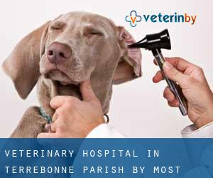 Veterinary Hospital in Terrebonne Parish by most populated area - page 1