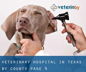 Veterinary Hospital in Texas by County - page 4
