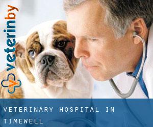 Veterinary Hospital in Timewell