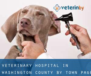 Veterinary Hospital in Washington County by town - page 1