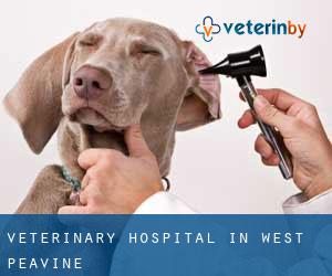 Veterinary Hospital in West Peavine