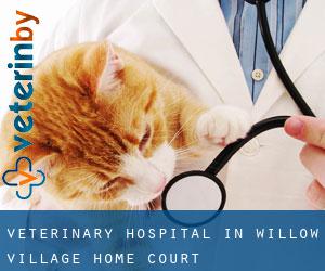 Veterinary Hospital in Willow Village Home Court