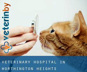 Veterinary Hospital in Worthington Heights