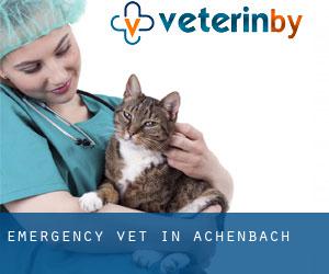 Emergency Vet in Achenbach