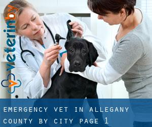 Emergency Vet in Allegany County by city - page 1
